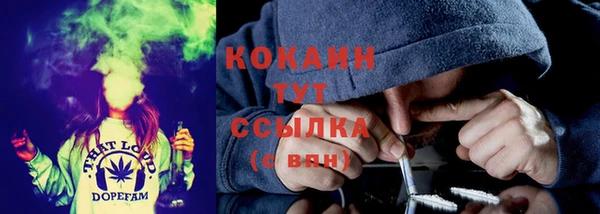 прущие грибы Аркадак